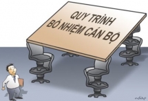 chinh phu chi dao thanh tra viec bo nhiem can bo