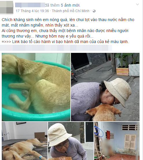 gian hon nam thanh nien o sai gon tra tan da man chu cho cua ban de tra thu