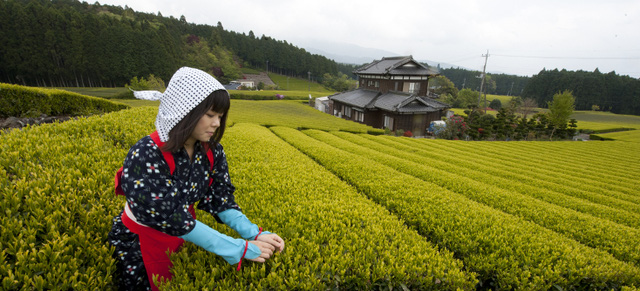 viet nam hoc duoc gi tu thanh cong mo rong han dien nhat ban da dat duoc