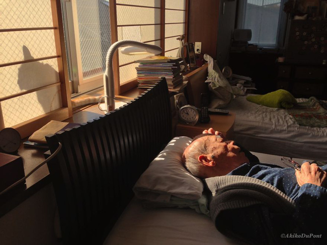 cuoc song binh yen cua cu ong nhat ban va chu meo cung qua ong kinh cua cau chau trai