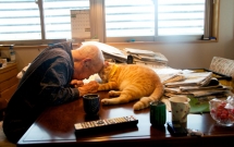 cuoc song binh yen cua cu ong nhat ban va chu meo cung qua ong kinh cua cau chau trai