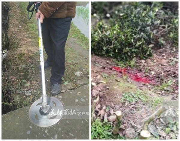 thu hoach tra xanh cung chong nguoi vo tre bat ngo tu vong vi thu thiet bi hien dai