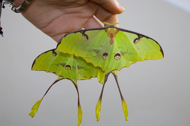 chang trai tro nen noi tieng tren instagram chi nho cho con trung len mat