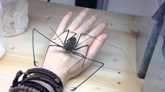 chang trai tro nen noi tieng tren instagram chi nho cho con trung len mat