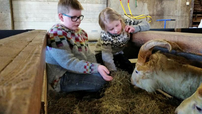 tim thay cuu mot sung giong ky lan trong truyen thuyet