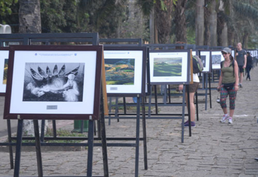 90 tac pham trung bay trong trien lam anh ha noi hue tp hcm