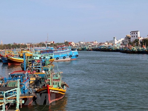 tau ca danh bat bat hop phap thuyen truong se bi thu bang lai