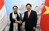 Quan hệ Việt Nam-Indonesia phát triển thực chất