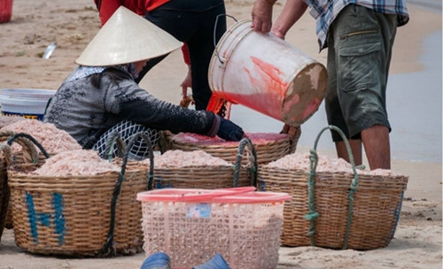 diem lai nhung vu thuc pham ngam hoa chat lam rung dong du luan