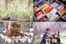 nhieu hoat dong hap dan tai le hoi hoa tu dang fuji matsuri