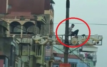 ha noi nam thanh nien nghi ngao da co thu tren cot dien o duong giai phong