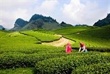 83 du lich o dau re dep va ly tuong nhat mien trung