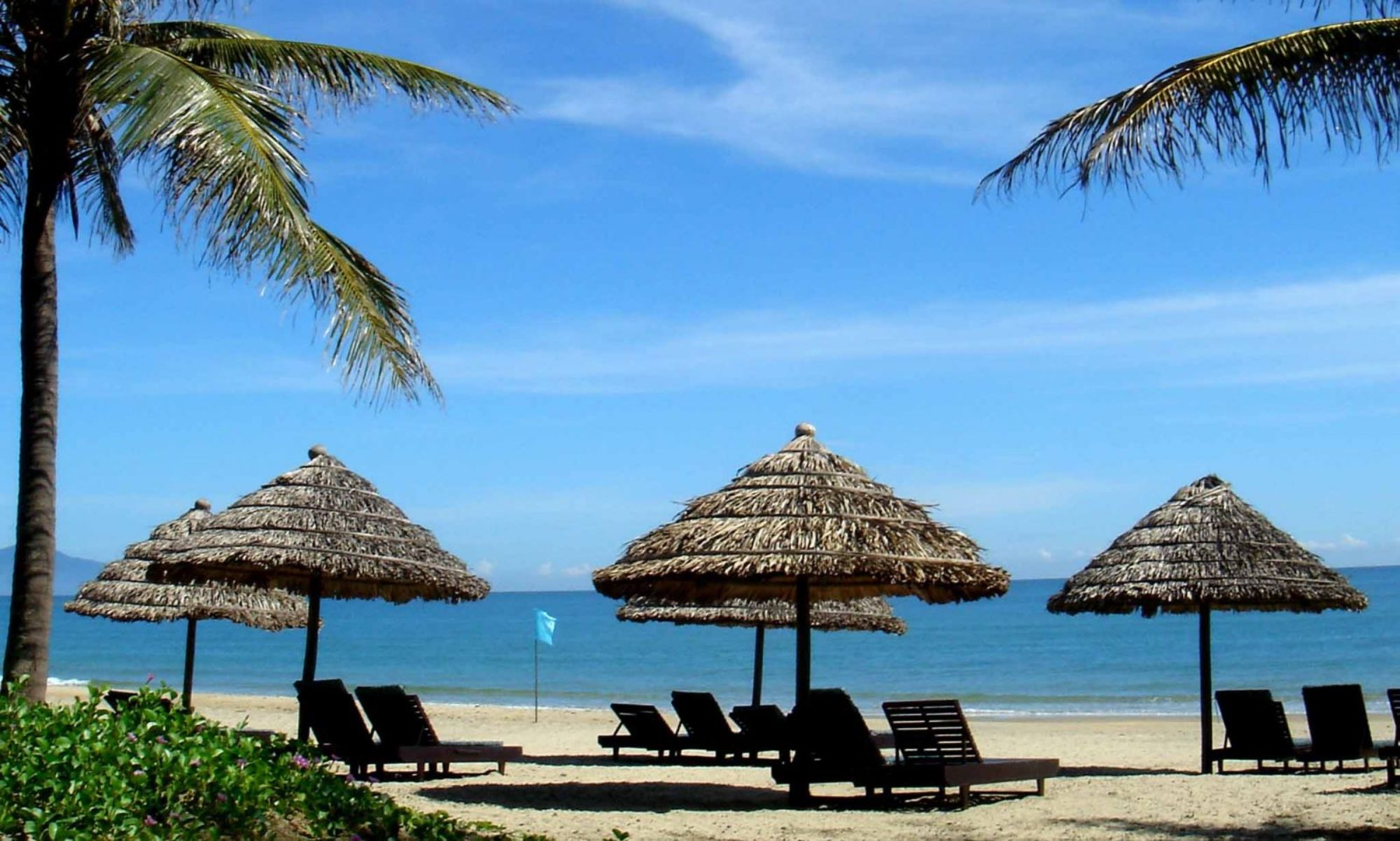 trien lam di san van hoa bien dao viet nam