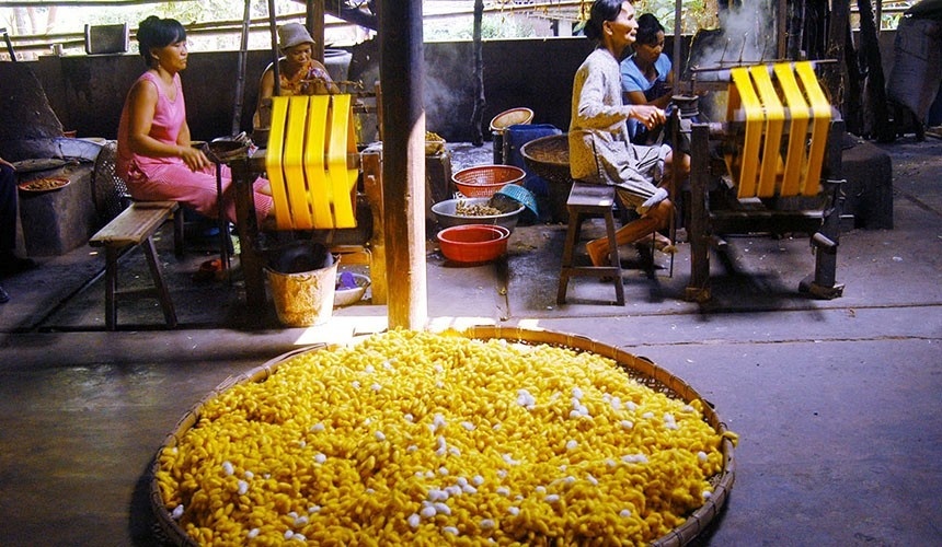 festival van hoa to lua viet nam chau a 2017