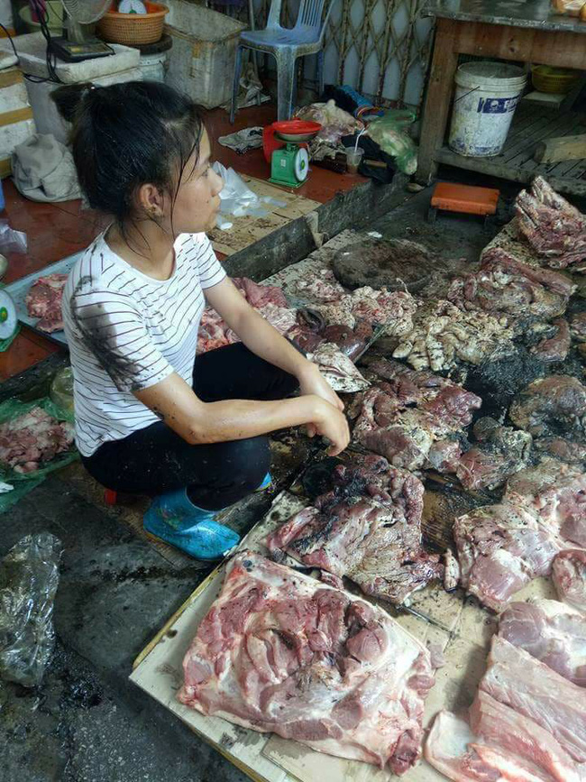 quan ngo quyen chi dao xu ly nghiem nguoi hat dau luyn tron chat thai vao sap thit lon
