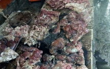 bat khan cap nguoi hat luyn tron chat thai vao sap thit lon o hai phong