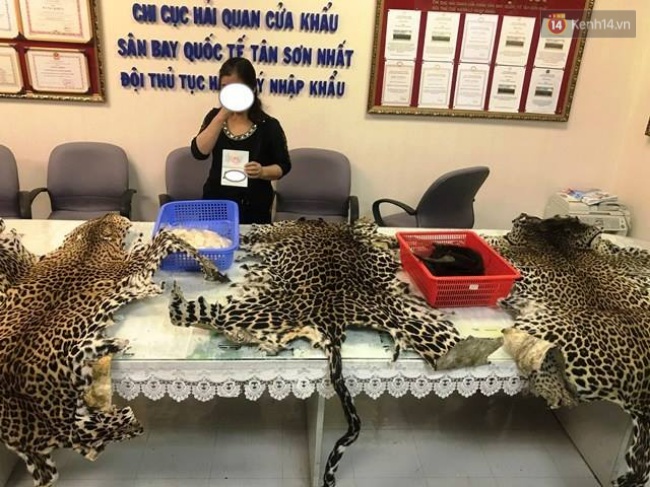 mang 4kg nga voi va nhieu san pham dong vat hoang da nguoi phu nu bi bat giu ngay tai san bay tan son nhat