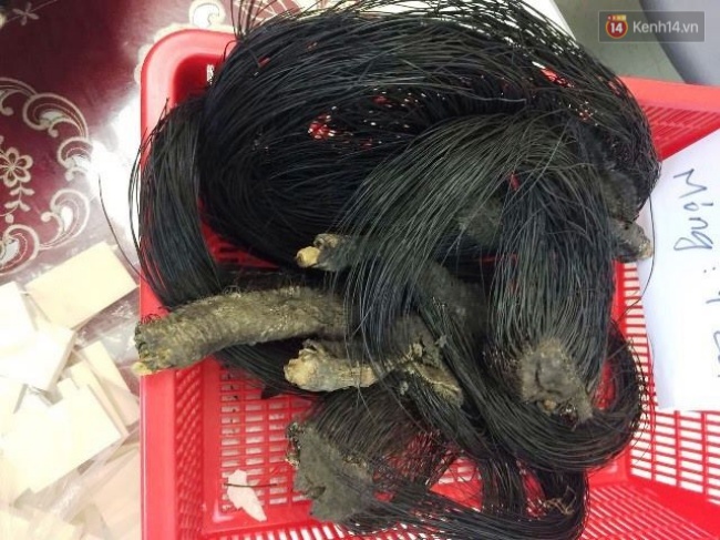 mang 4kg nga voi va nhieu san pham dong vat hoang da nguoi phu nu bi bat giu ngay tai san bay tan son nhat