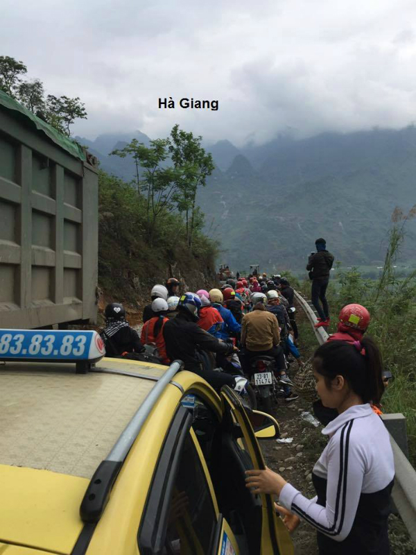 bach tuoc song dac san cua han quoc khong phai ai cung dam thu