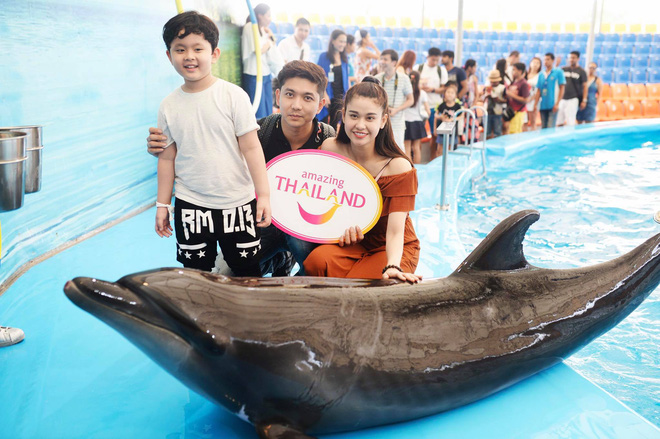 neu that su ly hon tim va truong quynh anh se chiu ton that kinh te nhu the nao