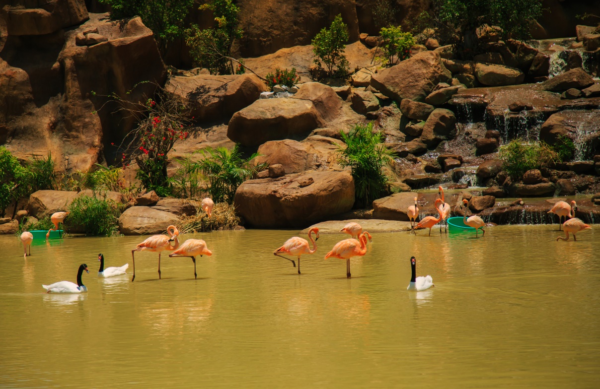 diem danh nhung diemdau tien va nhat tai vinpearl land nha trang