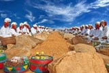 ninh thuan don hai mon qua cua chinh phu an do