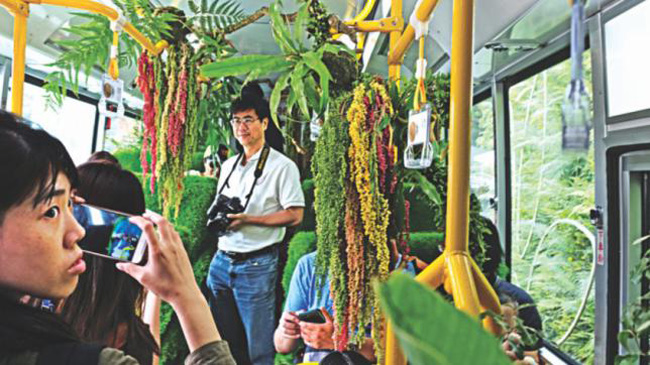 tuong rung cay di dong chay trong thanh pho nhung hoa ra khong phai the