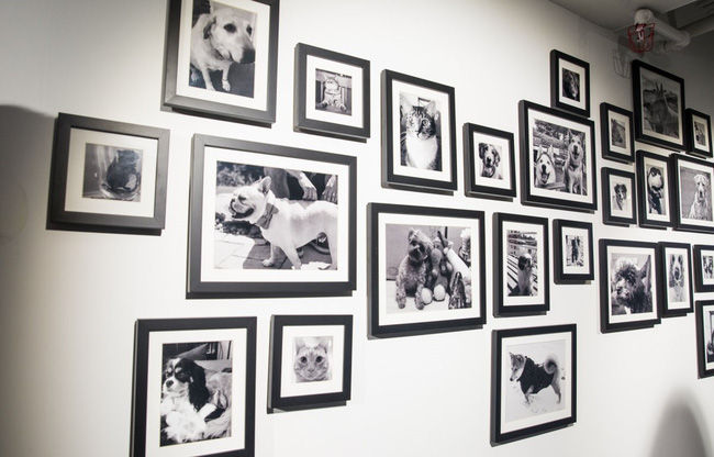 tham quan van phong lam viec tri gia 23 ti do cua linkedin tai new york my