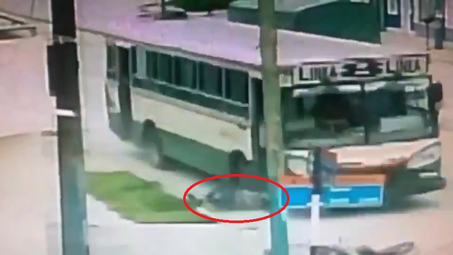 chang trai nhan hau qua nang ne vi cu vit ga lieu linh va tham lam