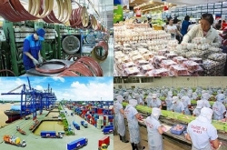 GDP 2019 của Việt Nam có thể cao kỷ lục 7,05%