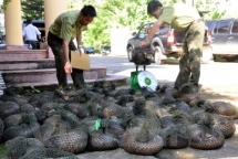 cac nha khoa hoc canh bao ve con loc tuyet chung tren trai dat
