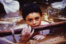 su that tan nhan va nhung buc anh bao chi gay tranh cai