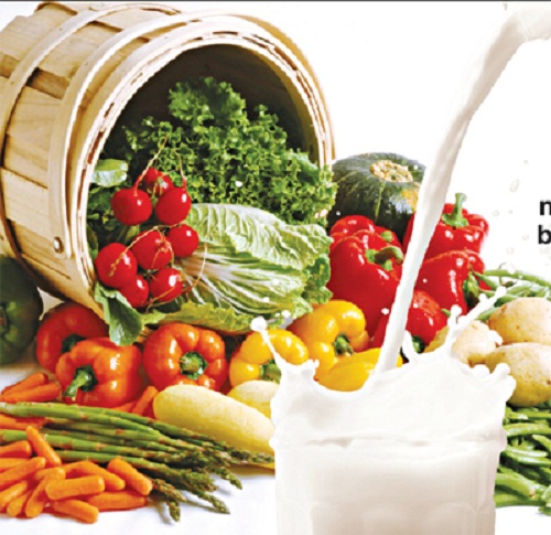 an uong ngay he voi nguoi cao tuoi