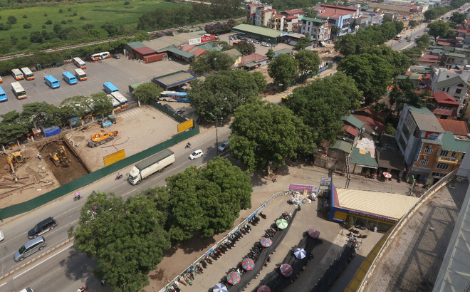 ha noi 1300 cay xanh tren duong pham van dong se bi chat ha trong 3 thang toi