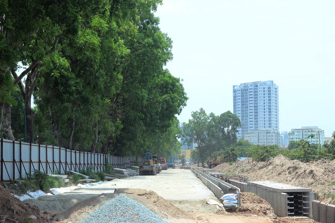 ha noi 1300 cay xanh tren duong pham van dong se bi chat ha trong 3 thang toi