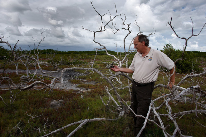 ban nghi troi nang nong the gioi con dang chiu nhung tham canh thoi tiet khac nghiet hon rat nhieu