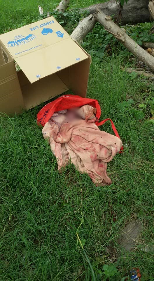 di thu gom rac nhan vien ve sinh bang hoang phat hien thu bi bo lai trong chiec hop cac tong ben ve duong