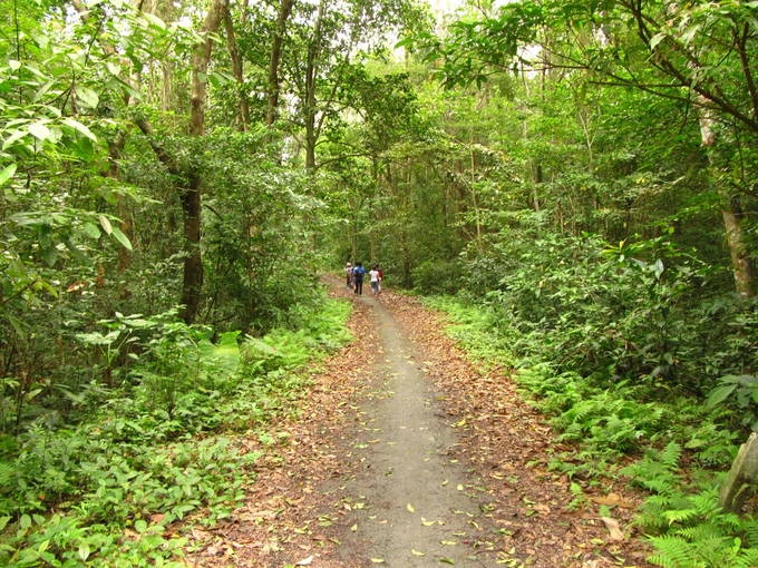 cung duong trekking xuyen rung o cat ba