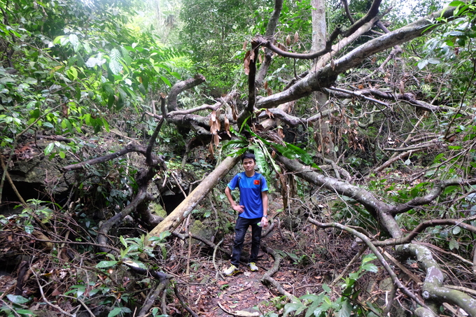 cung duong trekking xuyen rung o cat ba