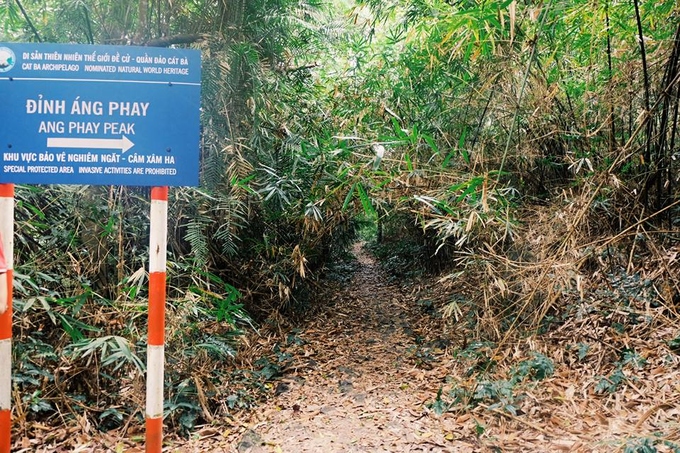 cung duong trekking xuyen rung o cat ba