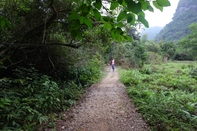cung duong trekking xuyen rung o cat ba