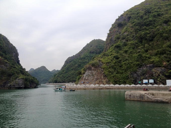 cung duong trekking xuyen rung o cat ba