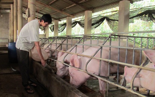 106 nghin tan lon da duoc xuat khau thanh cong