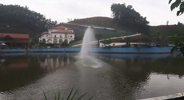 giam doc so tnmt yen bai biet phu rong 13 ha dung ten vo