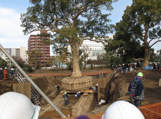 day khong phai la tac pham nghe thuat chi la cach nguoi nhat di doi mot cai cay thoi