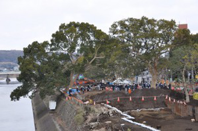 day khong phai la tac pham nghe thuat chi la cach nguoi nhat di doi mot cai cay thoi