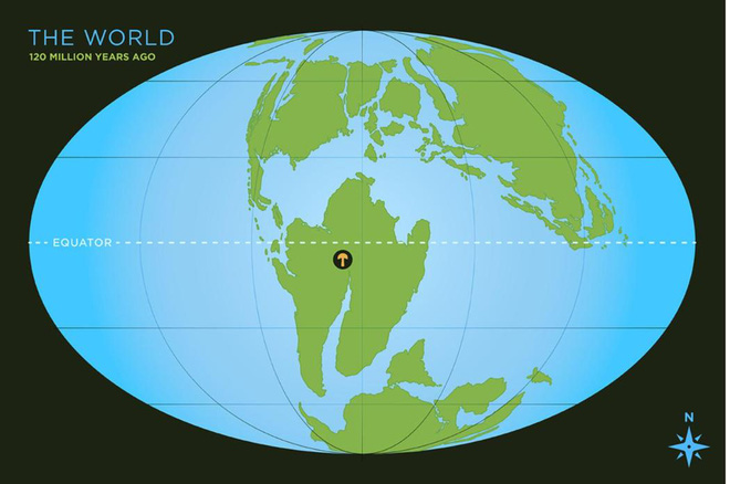 cac nha nghien cuu da phat hien mot cu cua cu nam 115 trieu nam tuoi