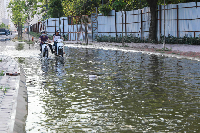 ha noi ngap ung quanh nam nguoi dan tha vit ngay tren duong khu do thi