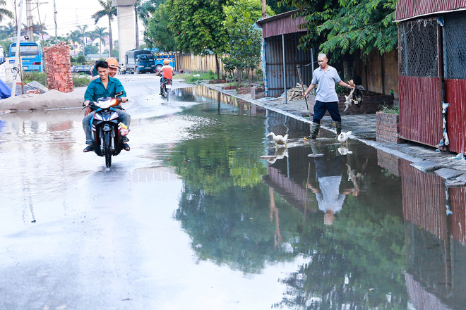 ha noi ngap ung quanh nam nguoi dan tha vit ngay tren duong khu do thi