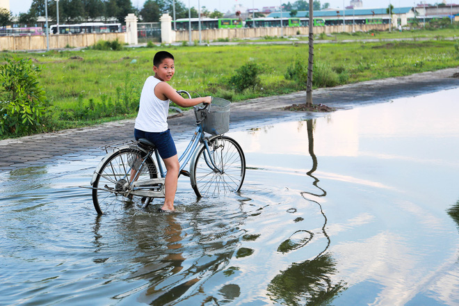 ha noi ngap ung quanh nam nguoi dan tha vit ngay tren duong khu do thi